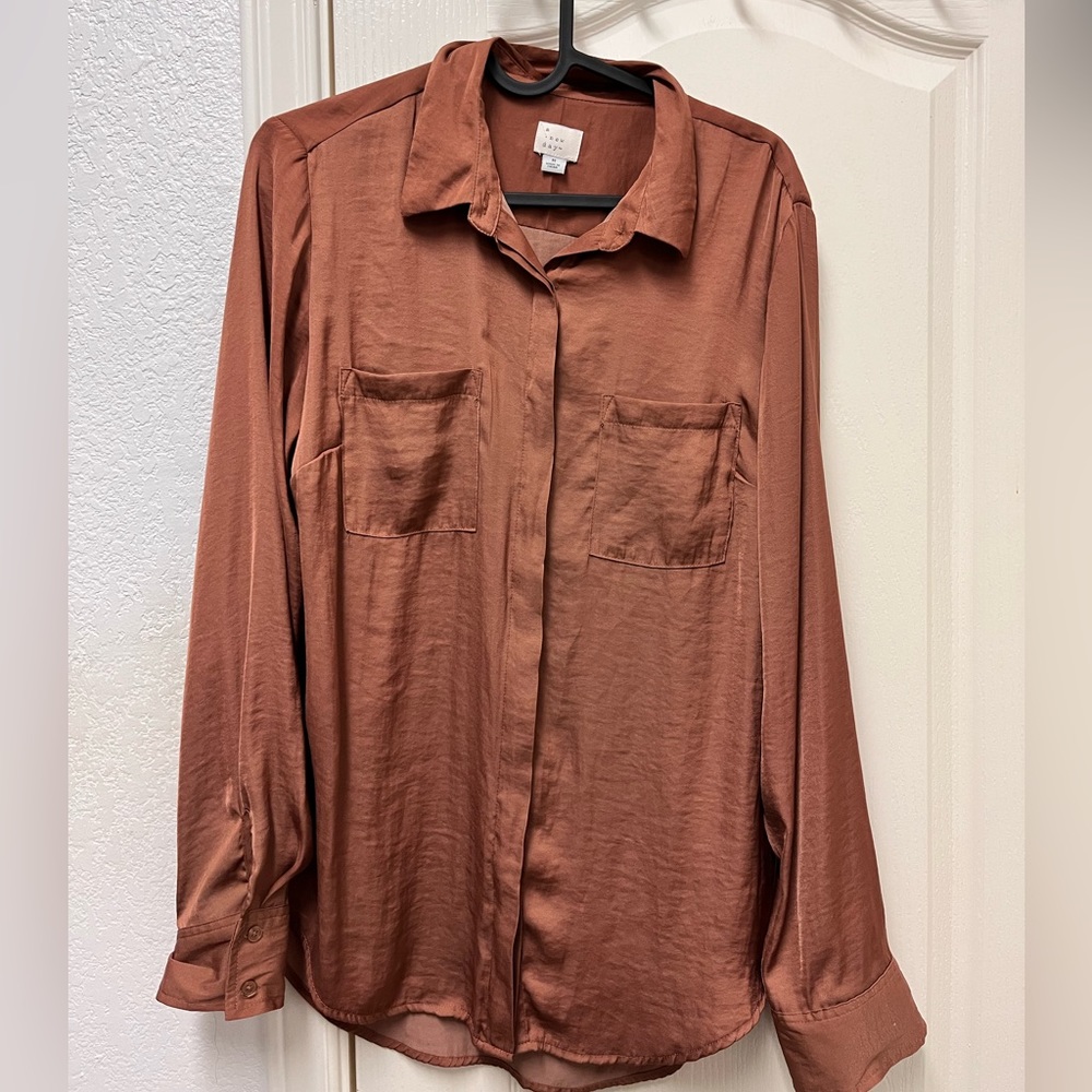A New Day Silky Burnt Orange Professional Button Up